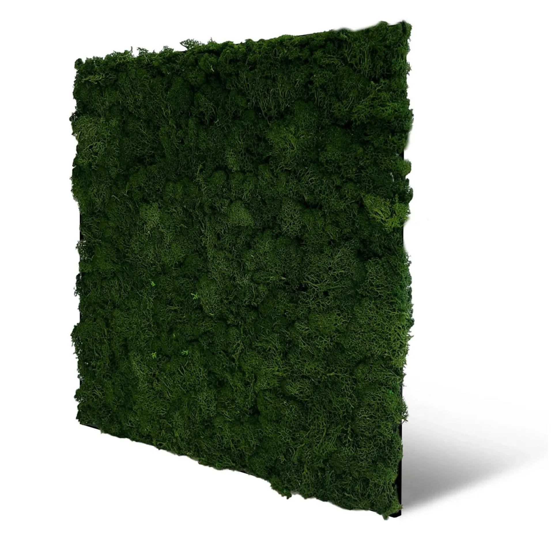 Wandpaneel MODULAR WALL