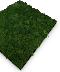 Wandpaneel MODULAR WALL