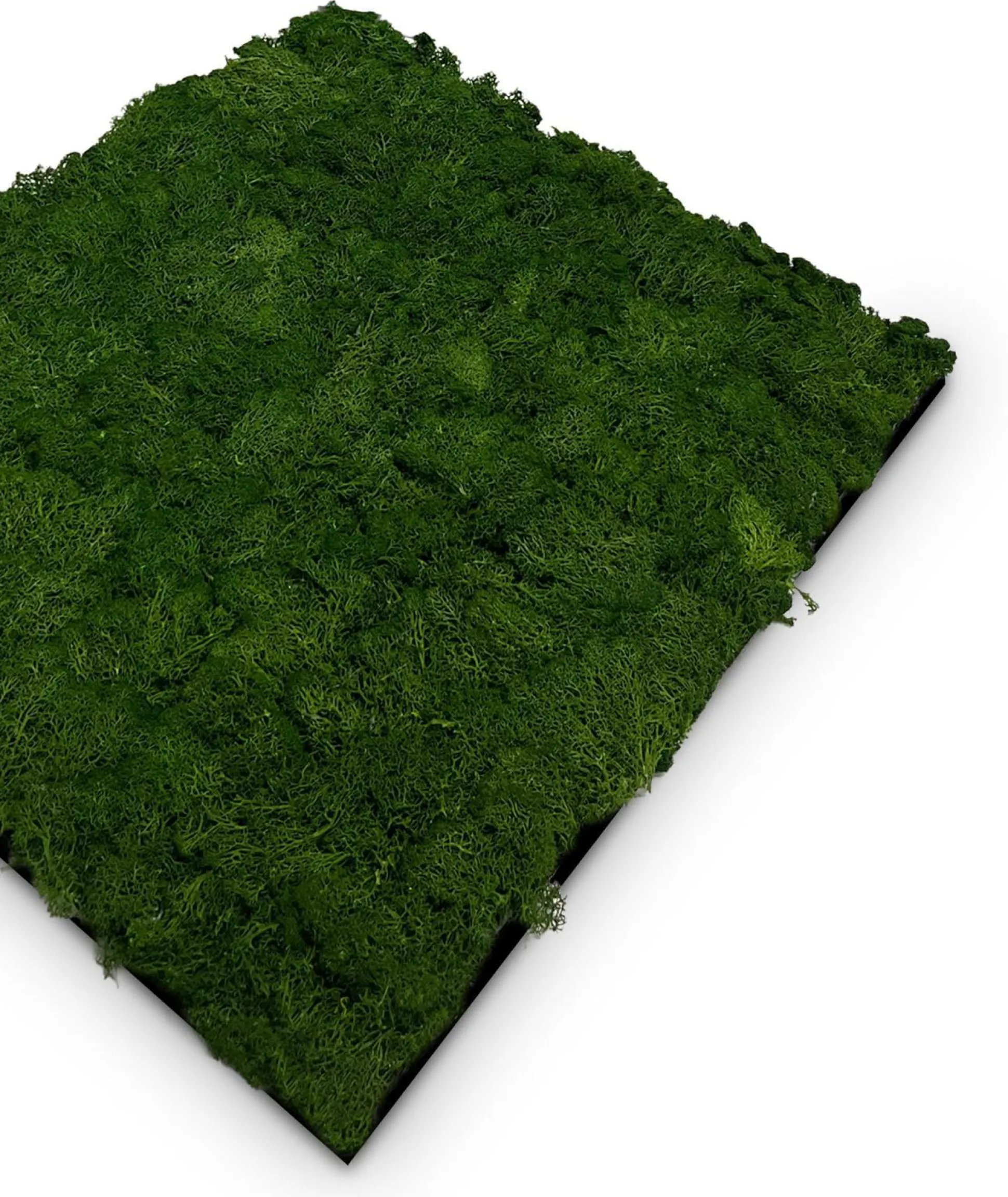 Wandpaneel MODULAR WALL