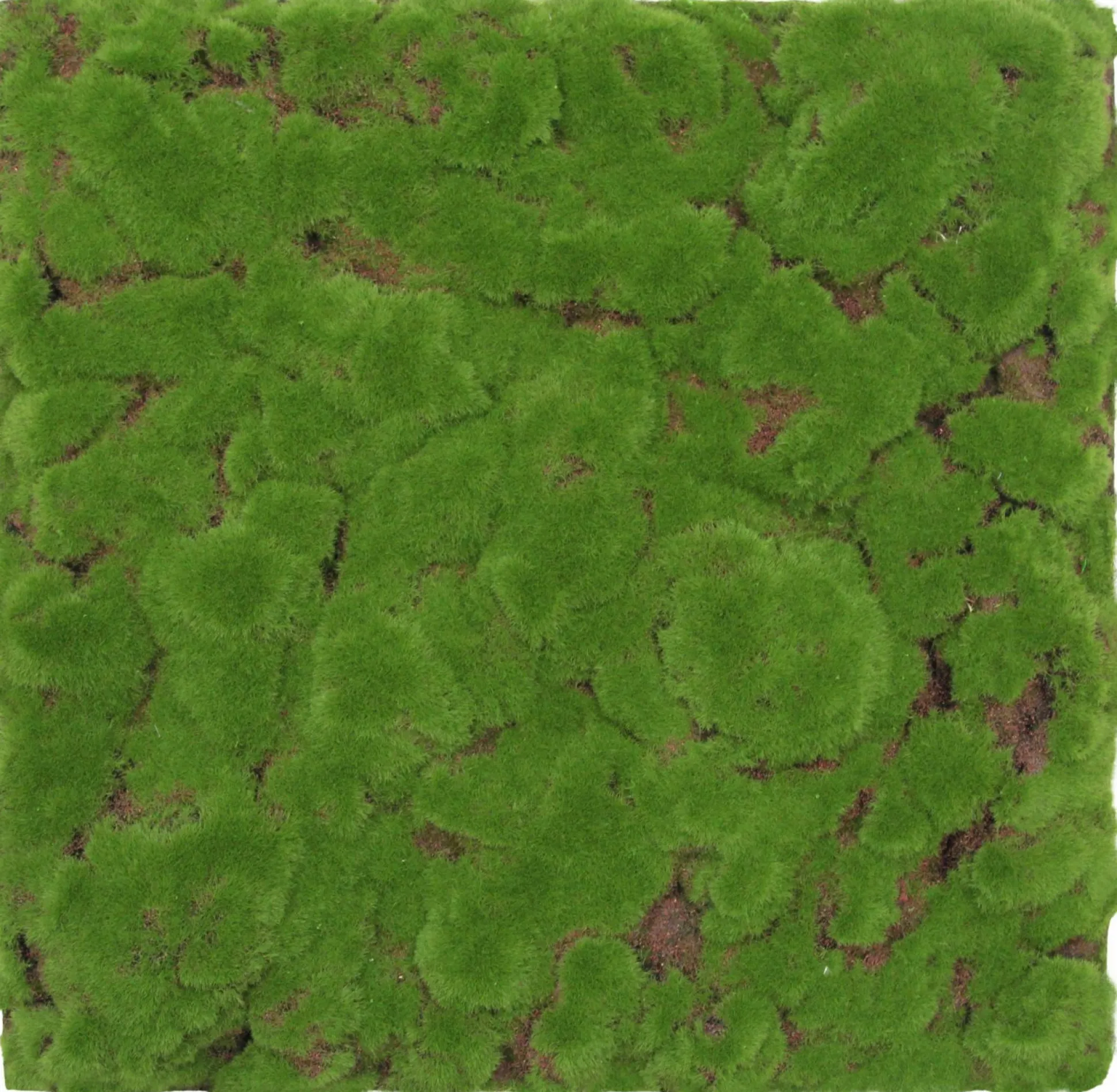 Wandpaneel MODULAR WALL