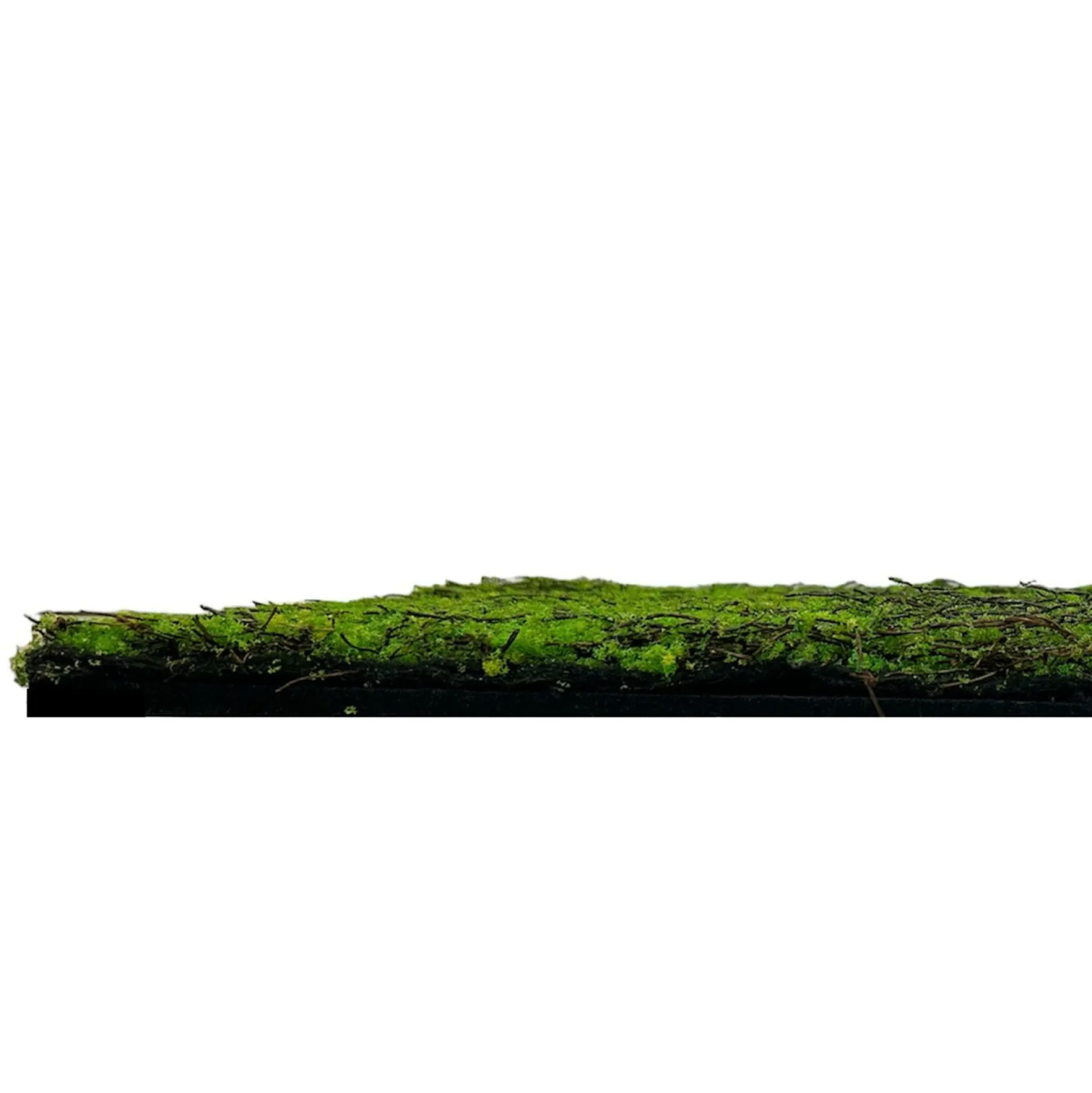 Wandpaneel MODULAR WALL