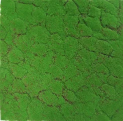 Wandpaneel MODULAR WALL