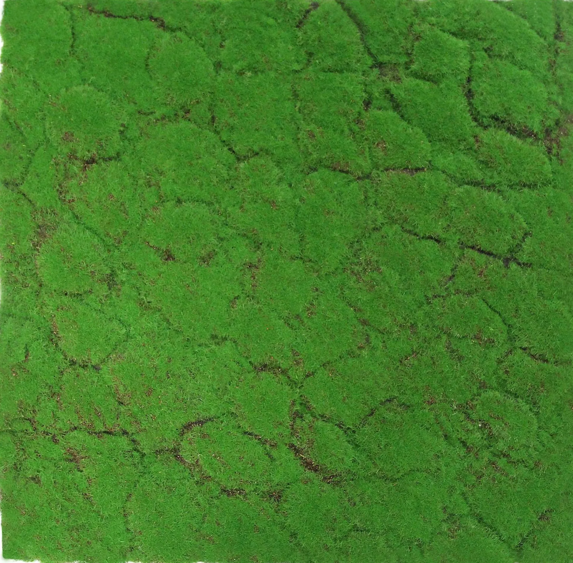 Wandpaneel MODULAR WALL