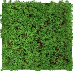 Wandpaneel MODULAR WALL