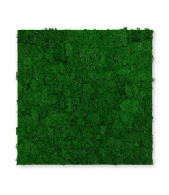 Wandpaneel MODULAR WALL