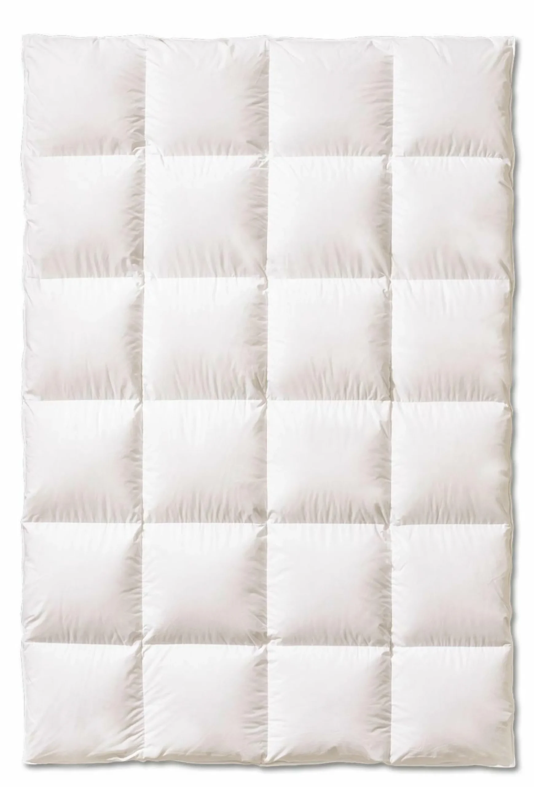 Winterbett sanders DREAMCATCHER