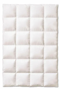 Winterbett sanders DREAMCATCHER